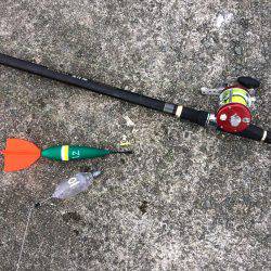 アジには会えなかったけど