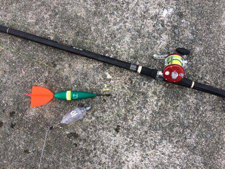 アジには会えなかったけど