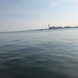 確率100パーセント釣れます！