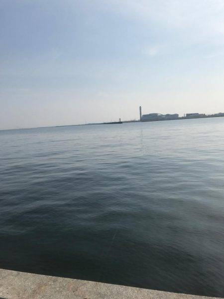 確率100パーセント釣れます！