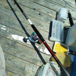 6月の海上釣堀オーパ!!