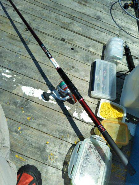 6月の海上釣堀オーパ!!