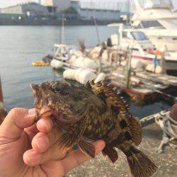 落とし込みでガッシー