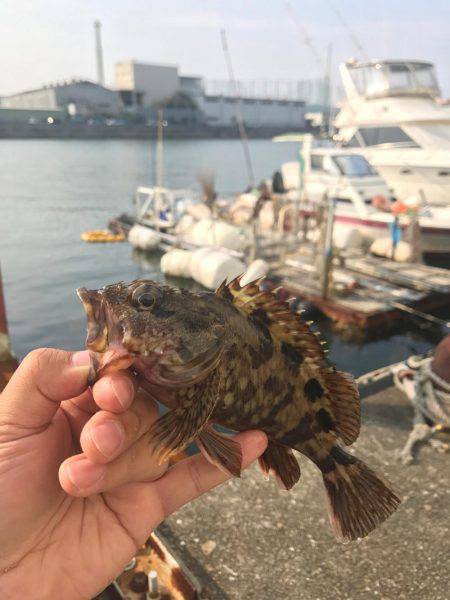 落とし込みでガッシー