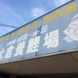 金魚釣り@大倉養鯉場