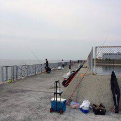 サイズまだまだ小さい