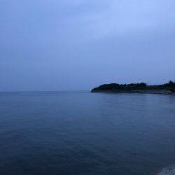 春イカらしいサイズ