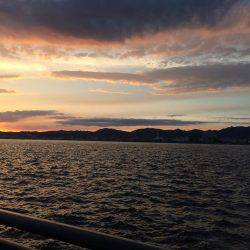 たまには小物釣りもね