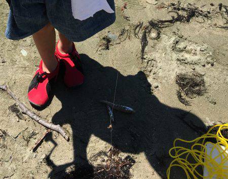 キスが良いです！！