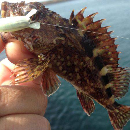 朝まづめからのデイゲーム！！