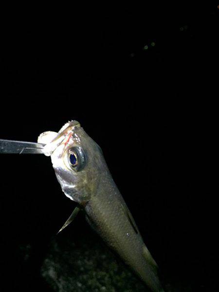 フロートゲーム