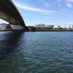 オクトパッシング