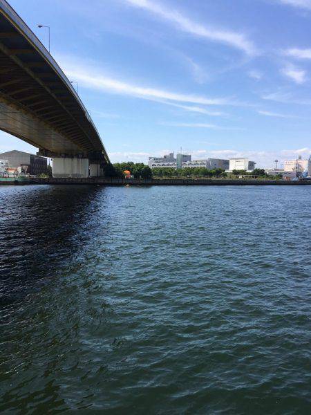 オクトパッシング