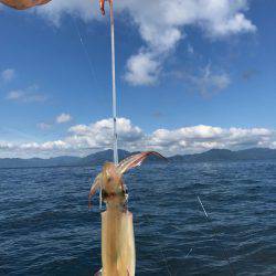 イカメタル調査＆キス調査