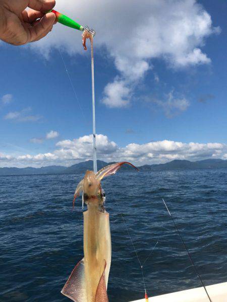 イカメタル調査＆キス調査