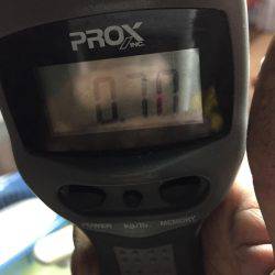 デカ烏賊が釣りたい