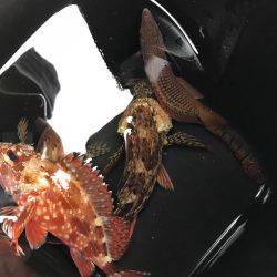 子供と穴釣り♪