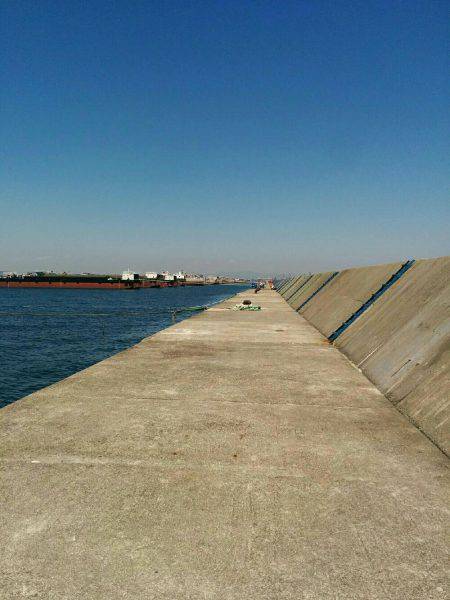 ぶり祭結果は。。。