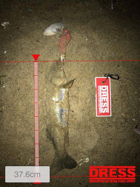 磯津サーフにて