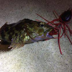 昨日とは打って変わって…