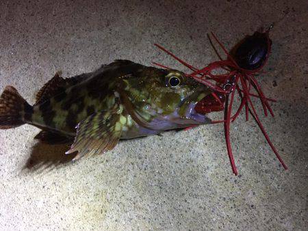 昨日とは打って変わって…