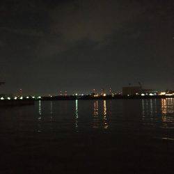 少しサイズダウン