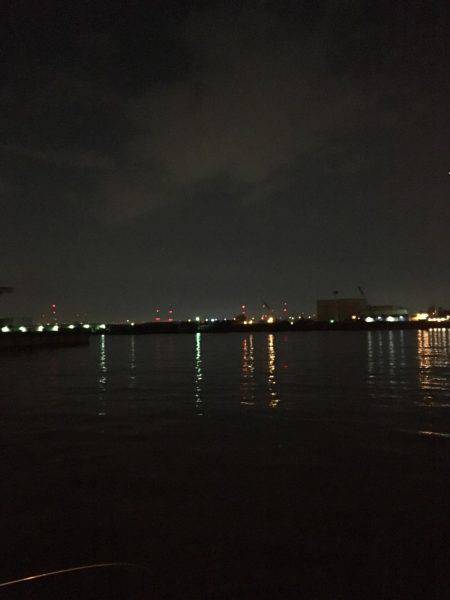 少しサイズダウン