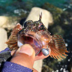 風がキツくてガシリング