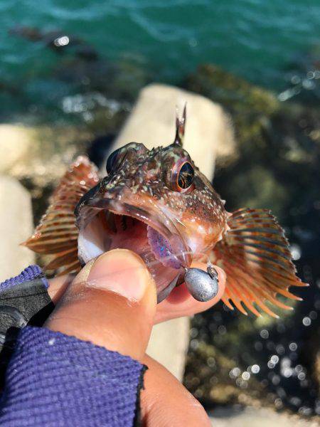風がキツくてガシリング