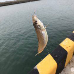 こんなつもりでは。