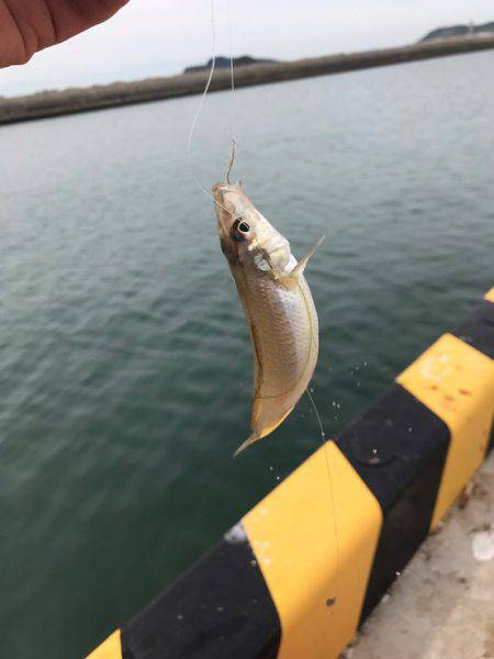 こんなつもりでは。