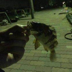 諦めかけていたら