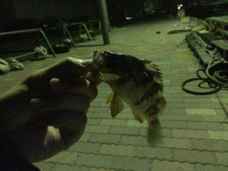 諦めかけていたら