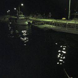 淡路ライトゲーム