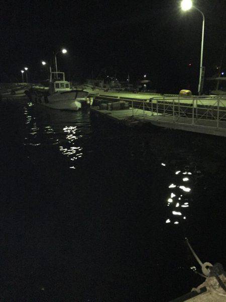 淡路ライトゲーム