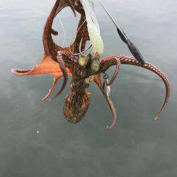 まだかな、数が伸びない！