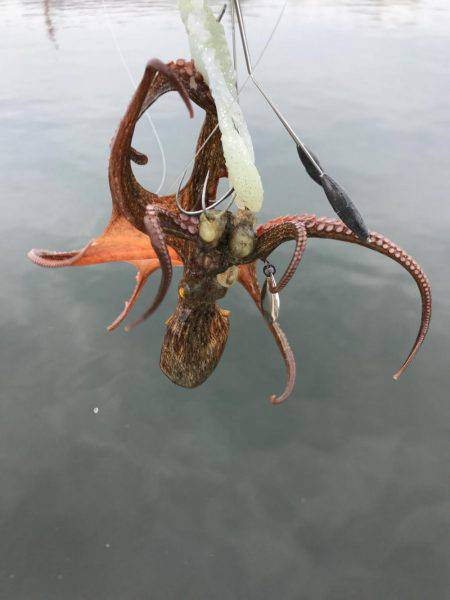 まだかな、数が伸びない！