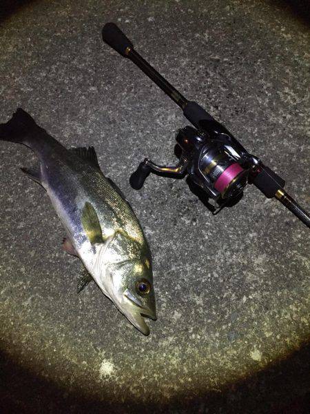 コツ掴みました