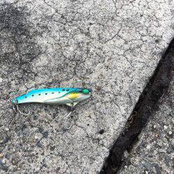 人混みを避けて