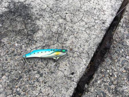 人混みを避けて