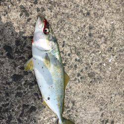 まーくんツバス❗️