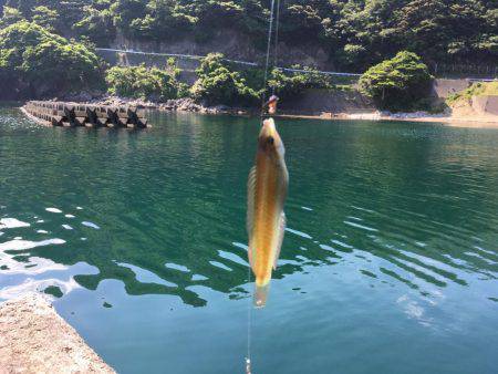1泊2日の釣り旅行1