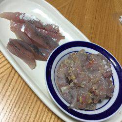 良型アジとツバス