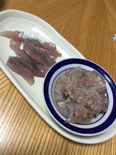 良型アジとツバス