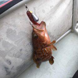 城崎近辺でカヤックフィッシング