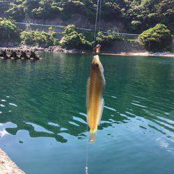 1泊2日の釣り旅行2