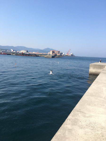 ガシリングがゲキアツ！！！！！