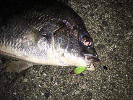 雨上がりのチニング