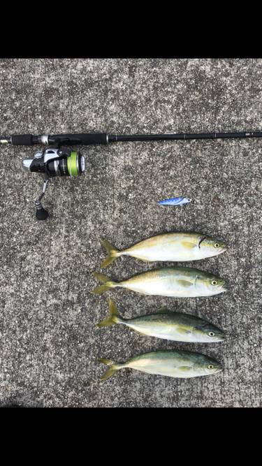 メタルバイブでツバス✕9