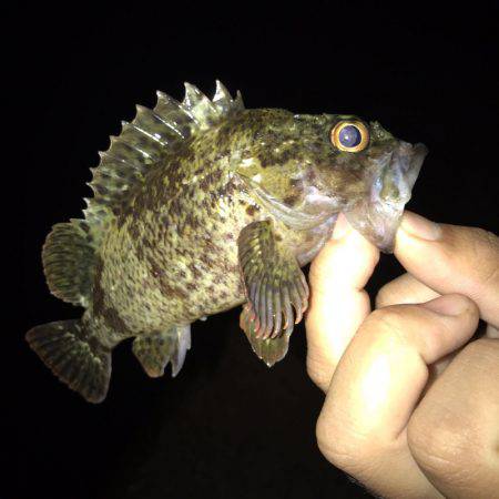 垂水漁港でナイトゲーム！！